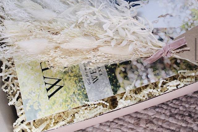 Any Reason, Any Season