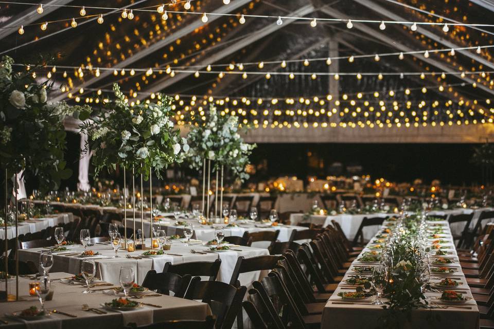 Backyard tent wedding