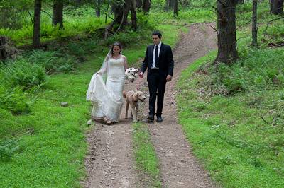 Environmental portrait of couple with their Golden Doodle. Danielle and David vow renewal