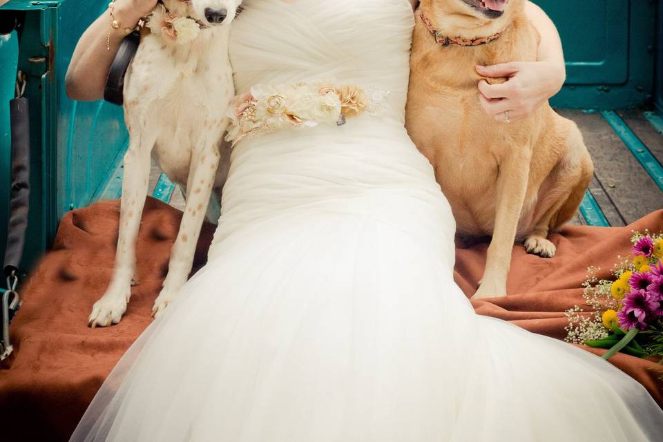 Penny Lail Photography