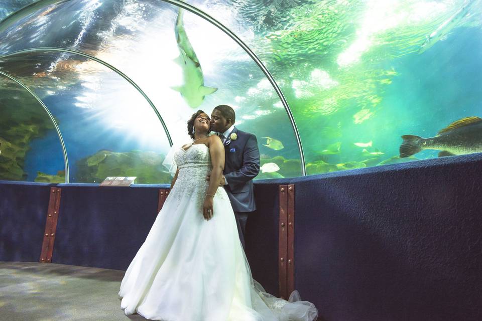 Andrew Anderson Photography, LLC