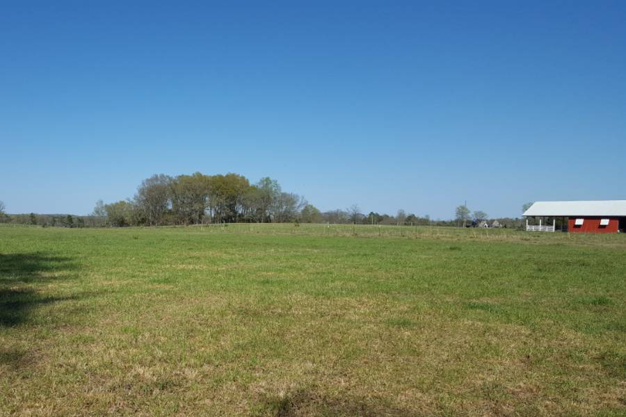 Fishing Creek Vineyard