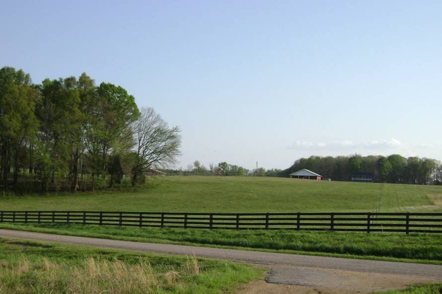 Fishing Creek Vineyard