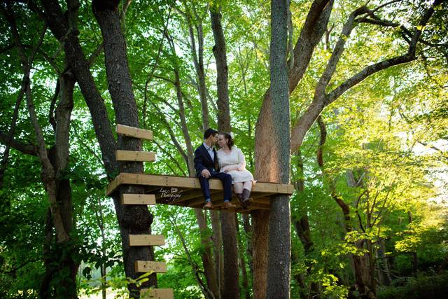 Together in the Trees
