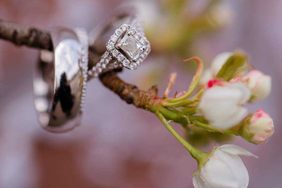 Rings on Flowers