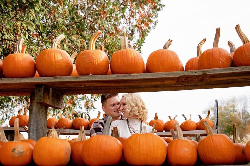 Pumpkin Patch Engagement