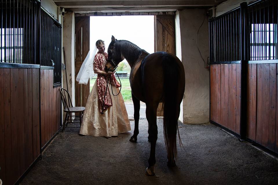 Bride and horse