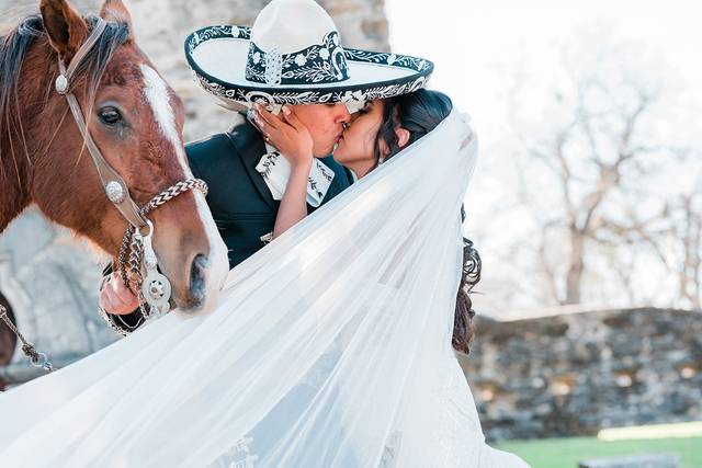 Bluefire Photography