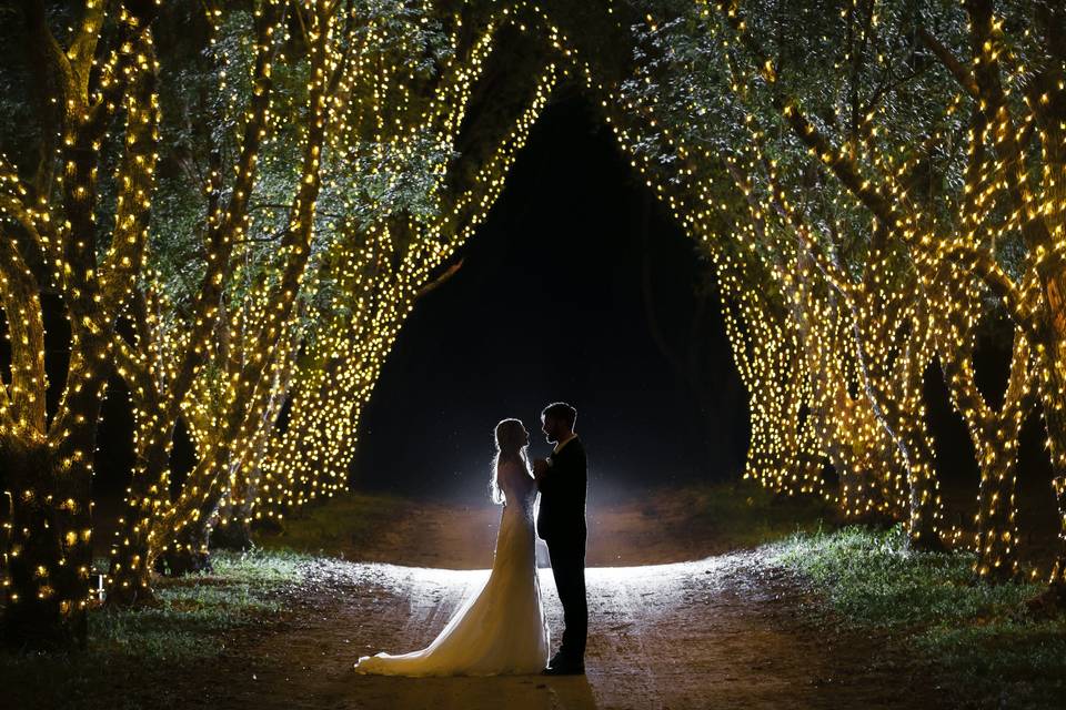 Stunning treelined couple shot