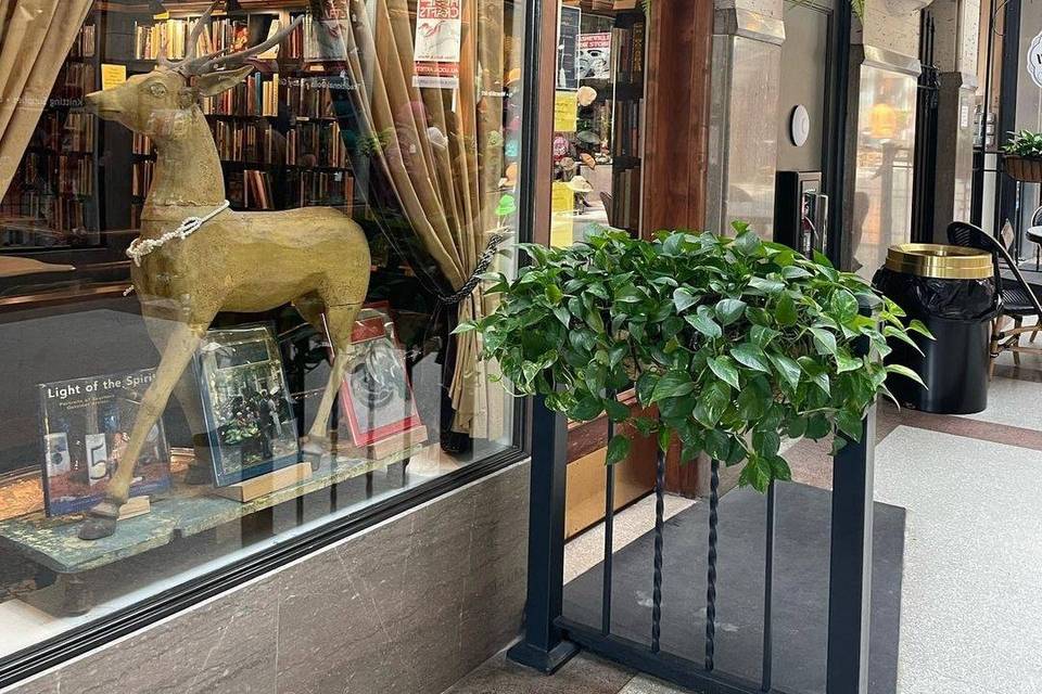 Battery Park Book Exchange