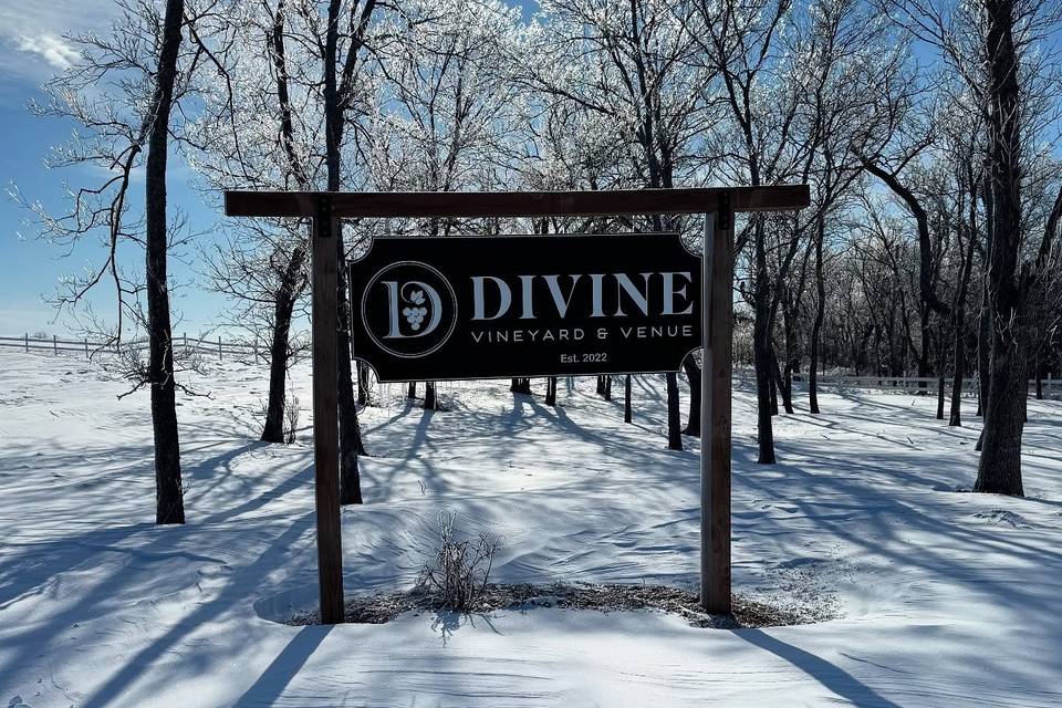 Divine Vineyard & Venue