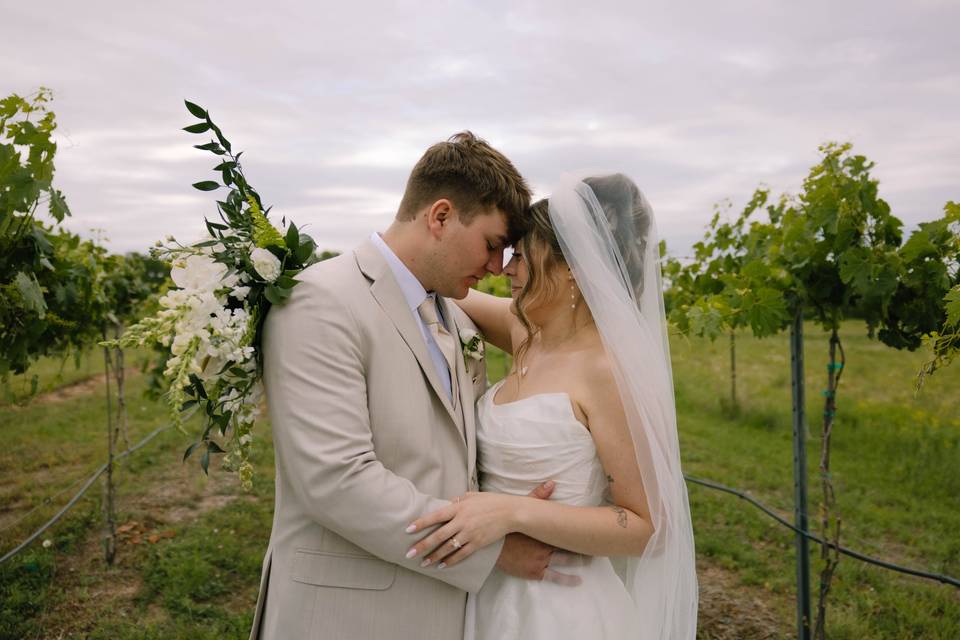 Vineyard