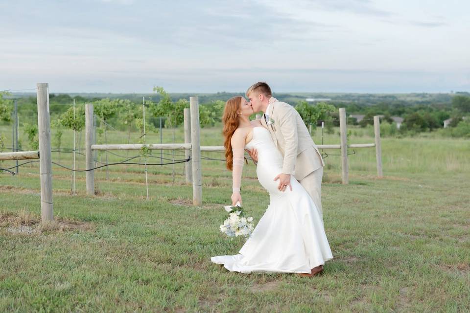 Vineyard