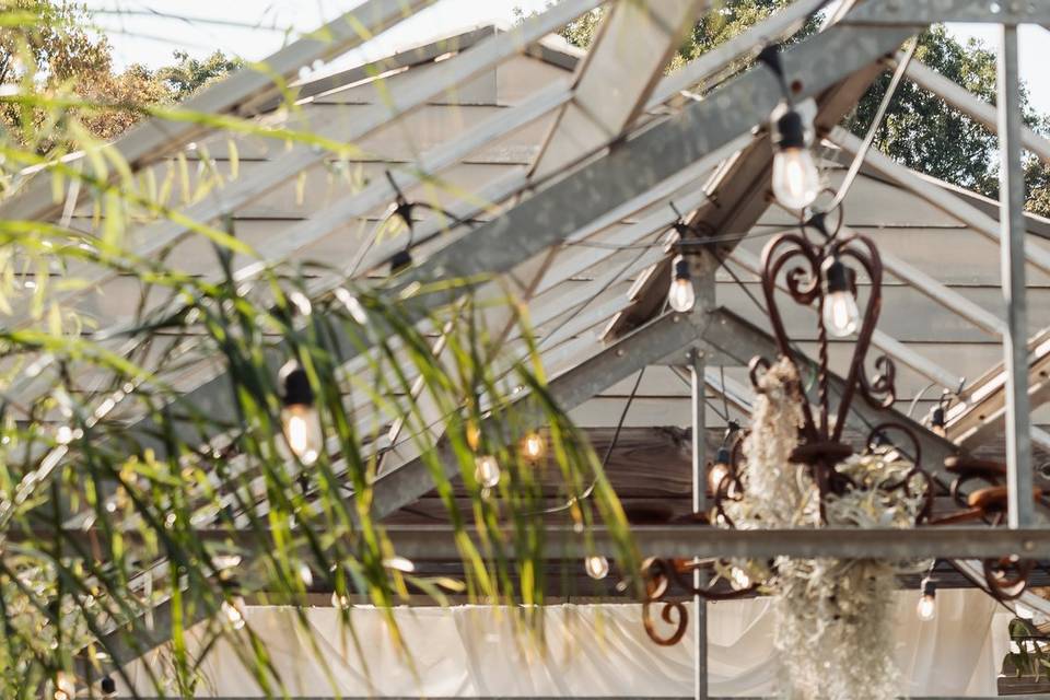 Wilson Nurseries Wedding