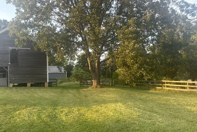 Pecan Tree
