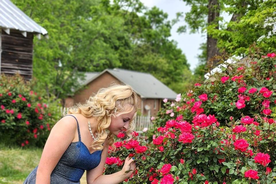 Rose bush