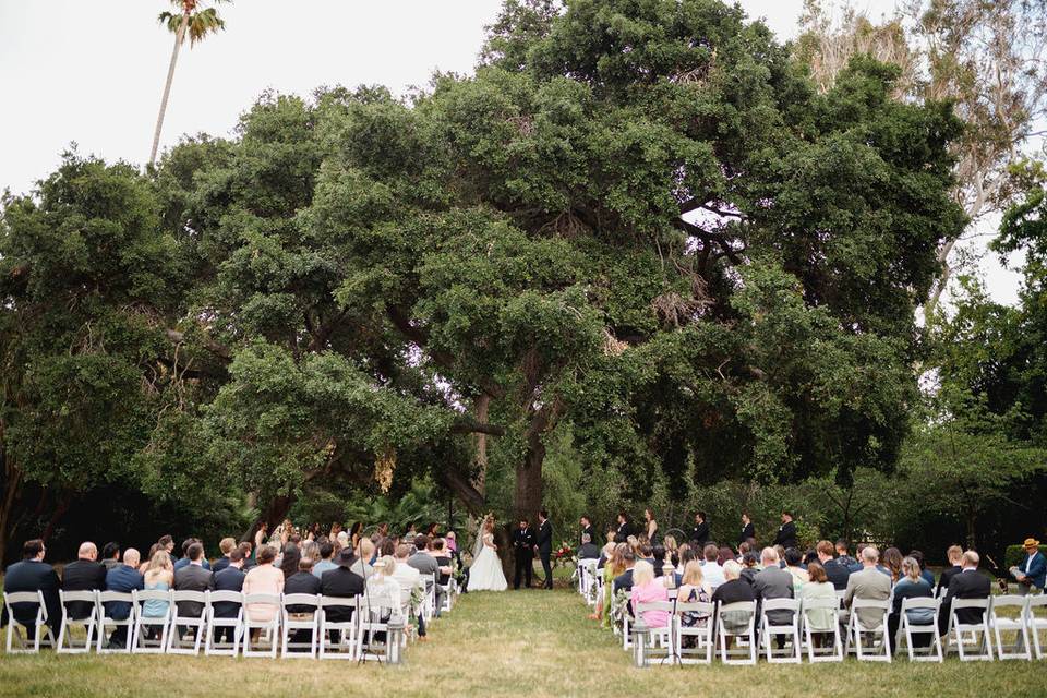 Oak tree ceremony