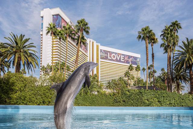 Dolphin Habitat