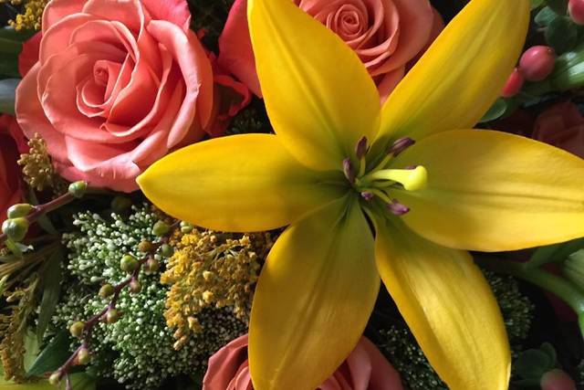 Tropical arrangement