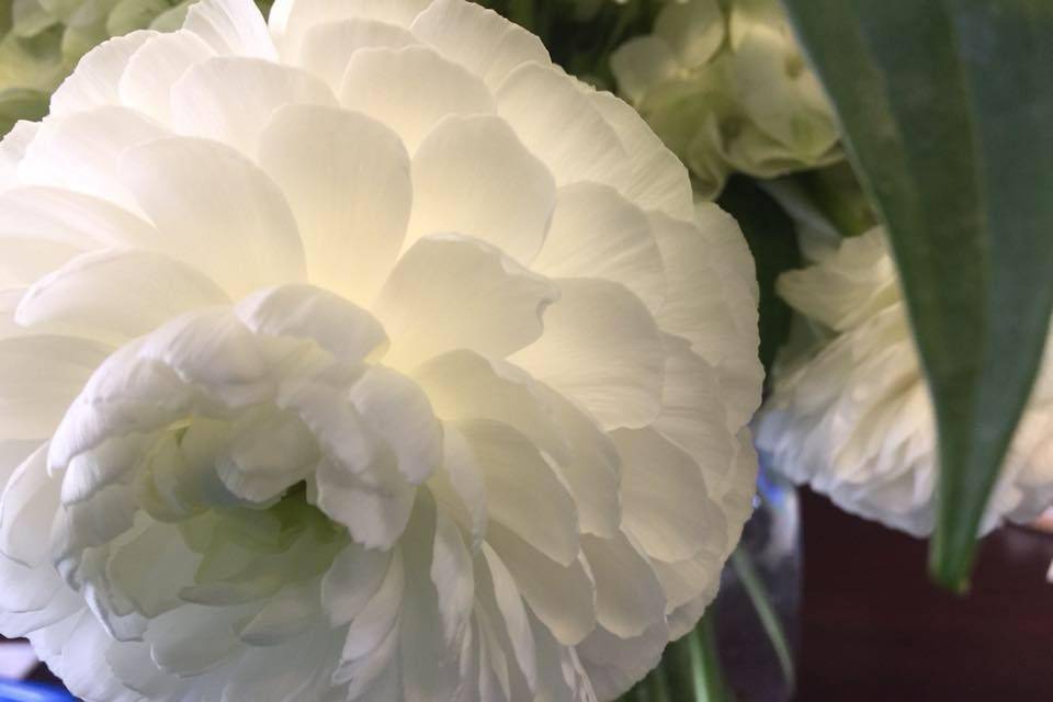 Gorgeous white arrangement