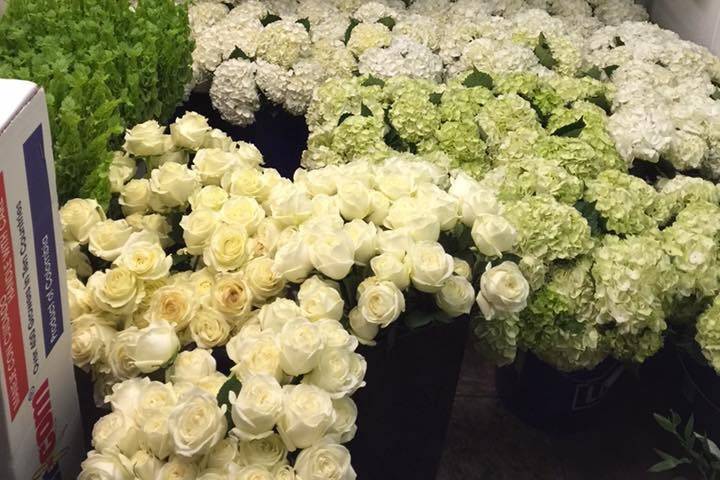 Fresh floral arrangements