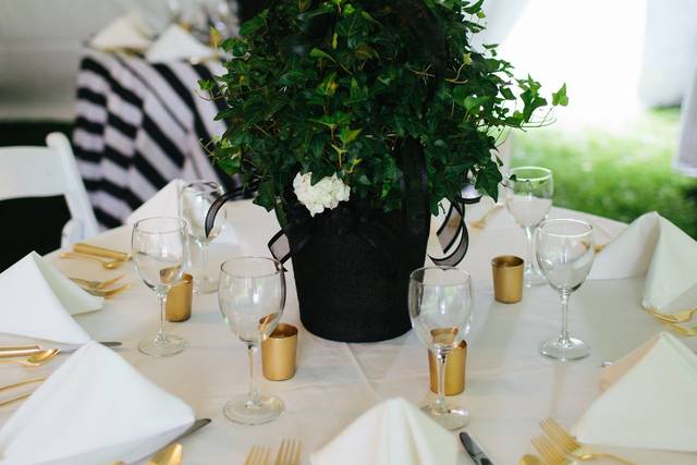 Table setup with centerpiece