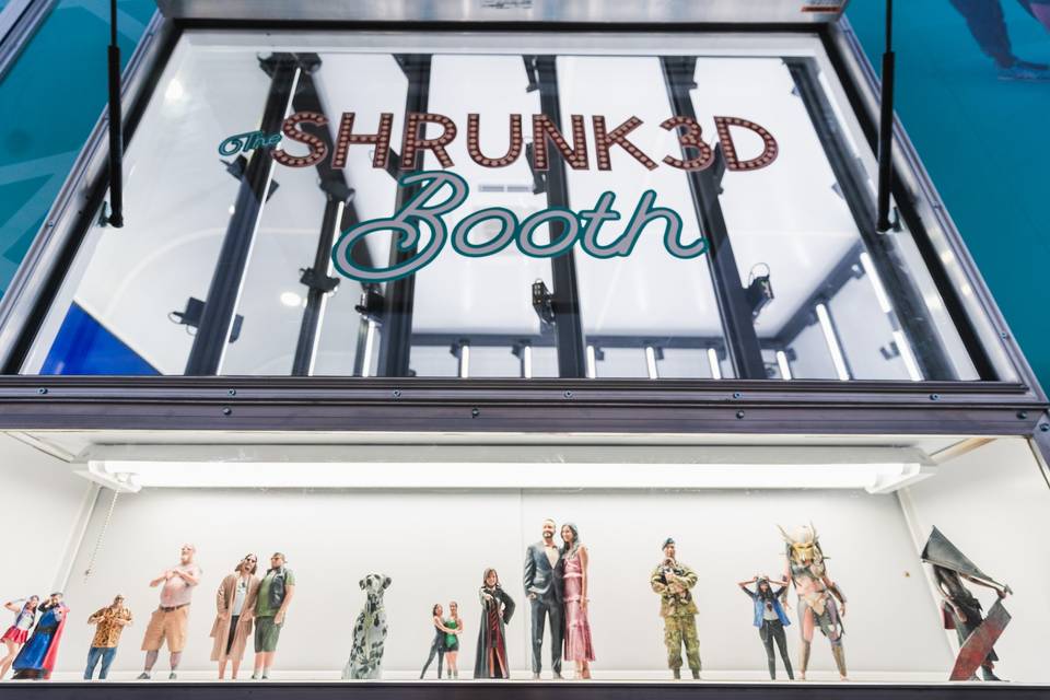 Shrunk 3D