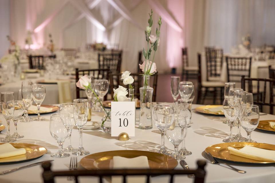 Reception site