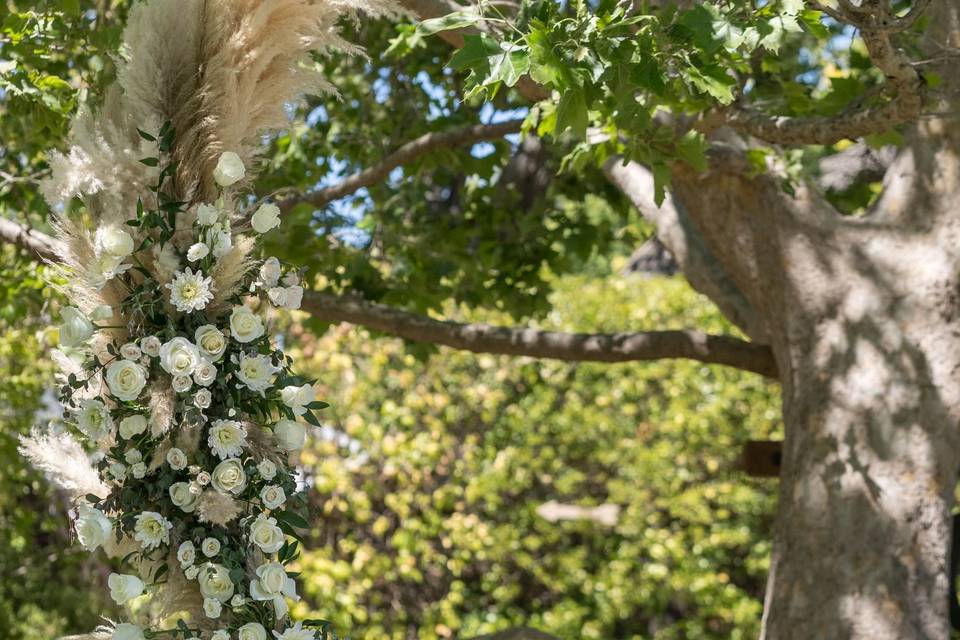 Pampas grass ceremony arch