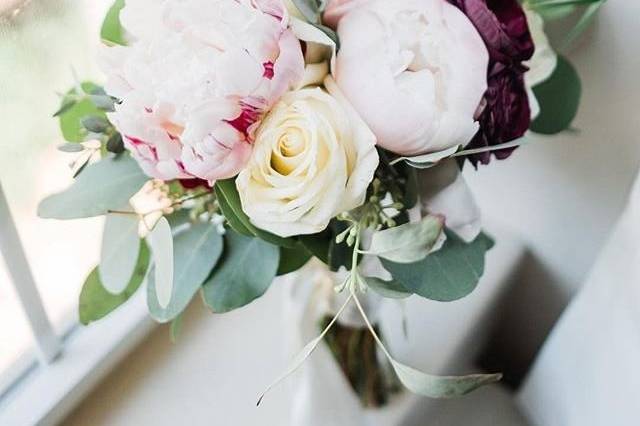 Blush and merlot peonies