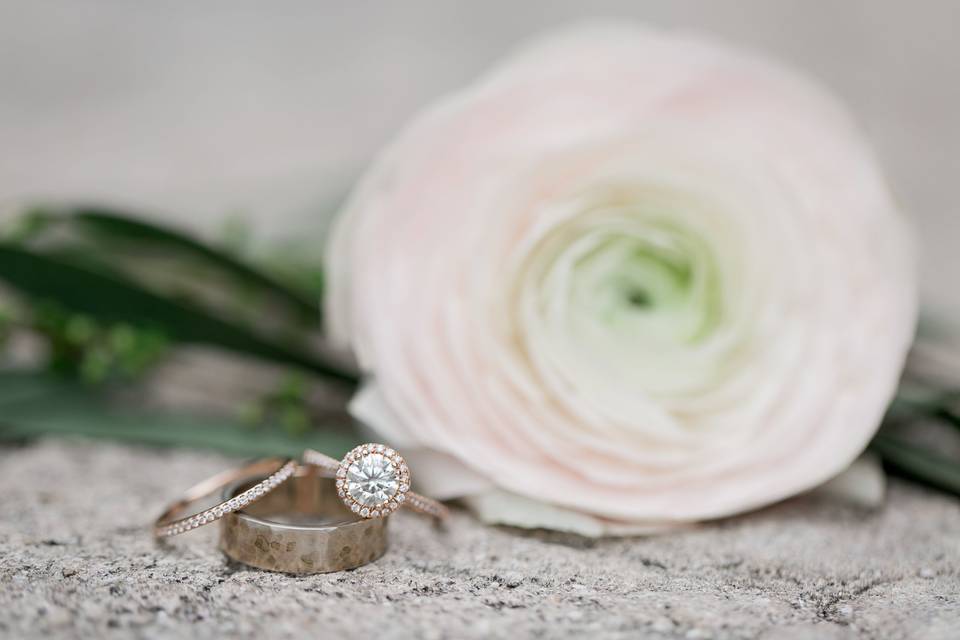 Blush ranunculus