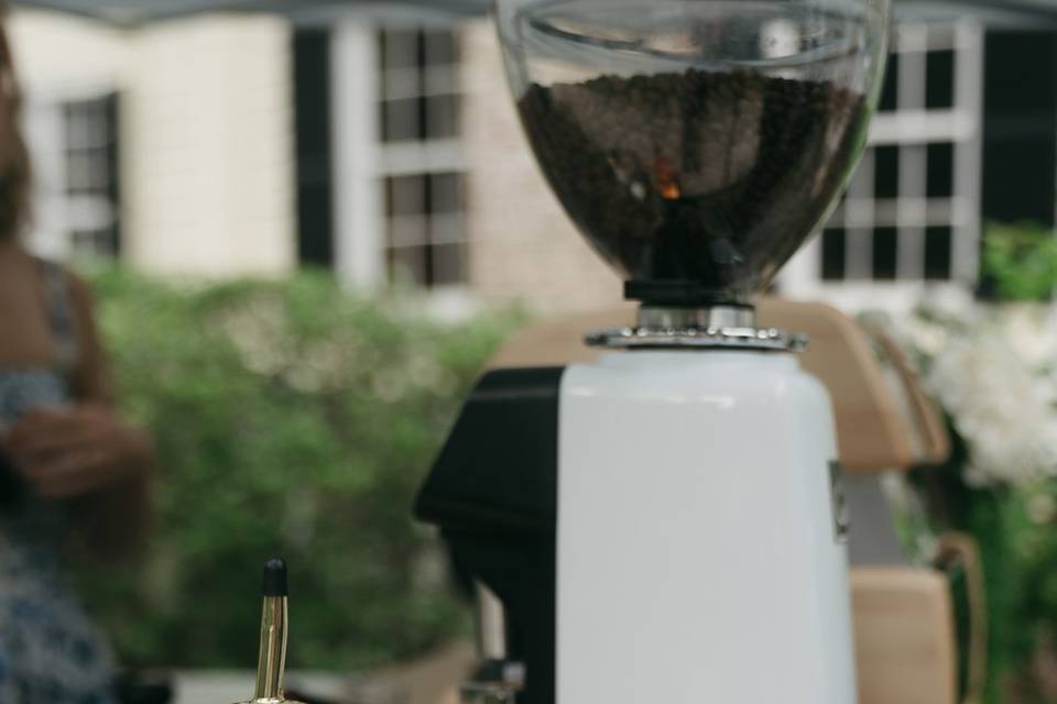 The Loyal Cup