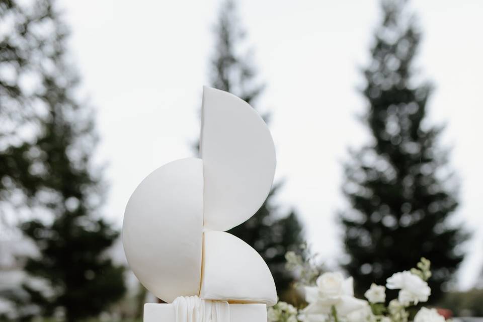 Contemporary sculpted cake