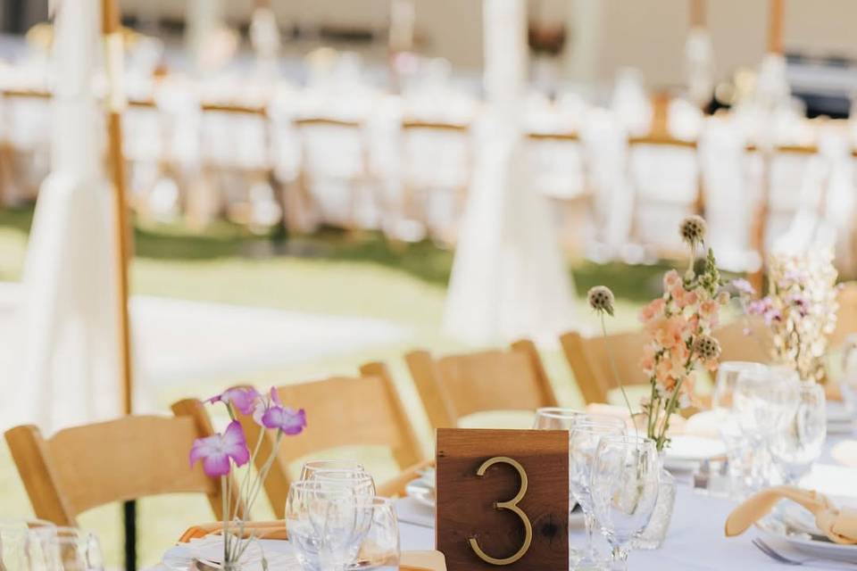 Mia Jasmine Weddings