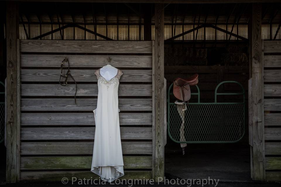 Patricia Longmire Photography