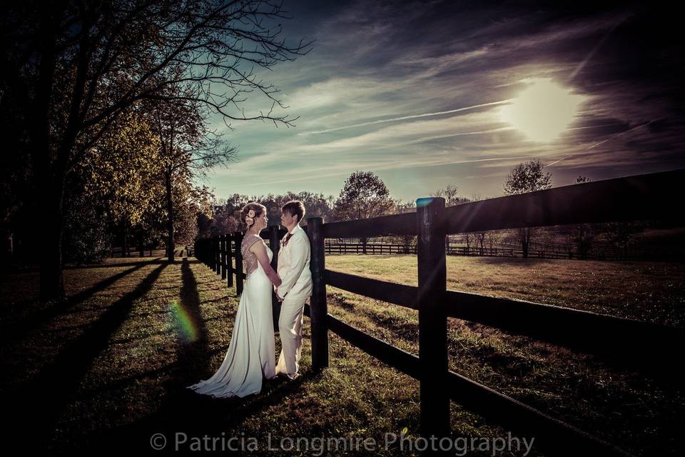 Patricia Longmire Photography