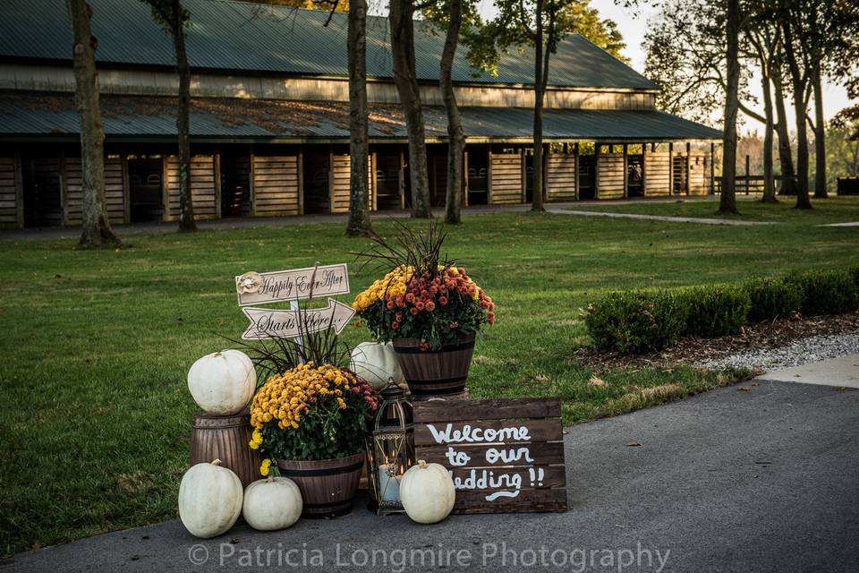 Patricia Longmire Photography