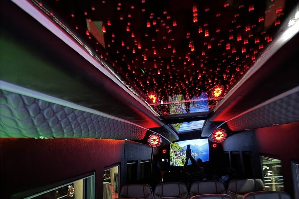 12 Passenger Luxury Sprinter