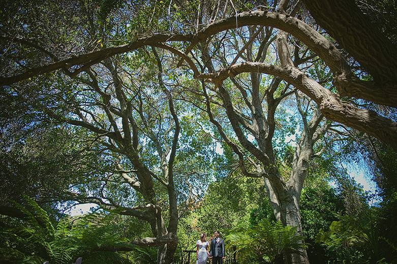 Couple under the trees