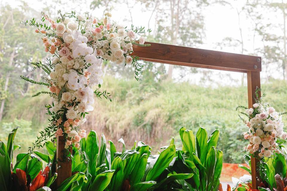 Florals Photo by Tracy Lyn