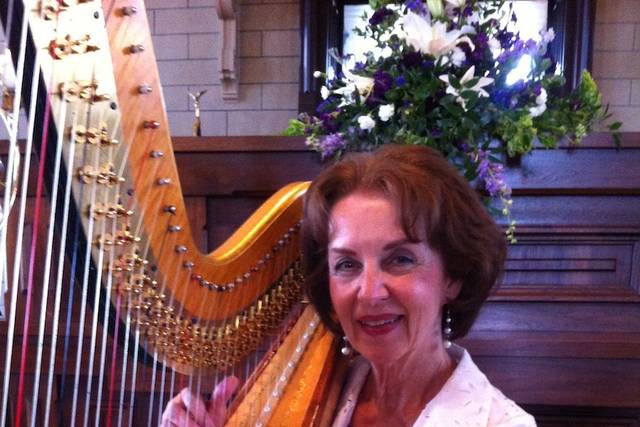 Harpist