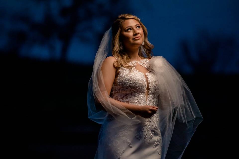 Dramatic Bridal portrait