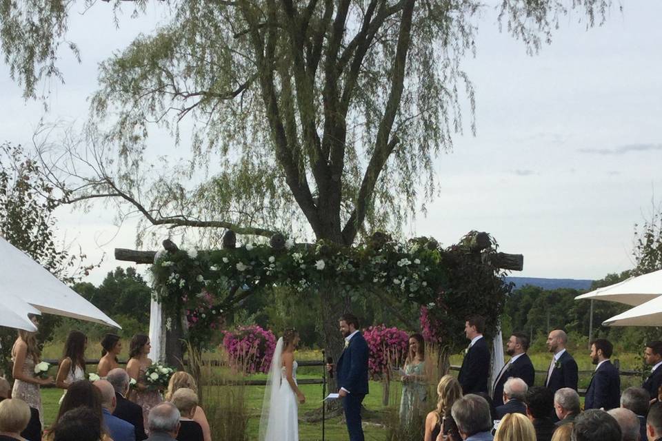 Newlyweds kissing