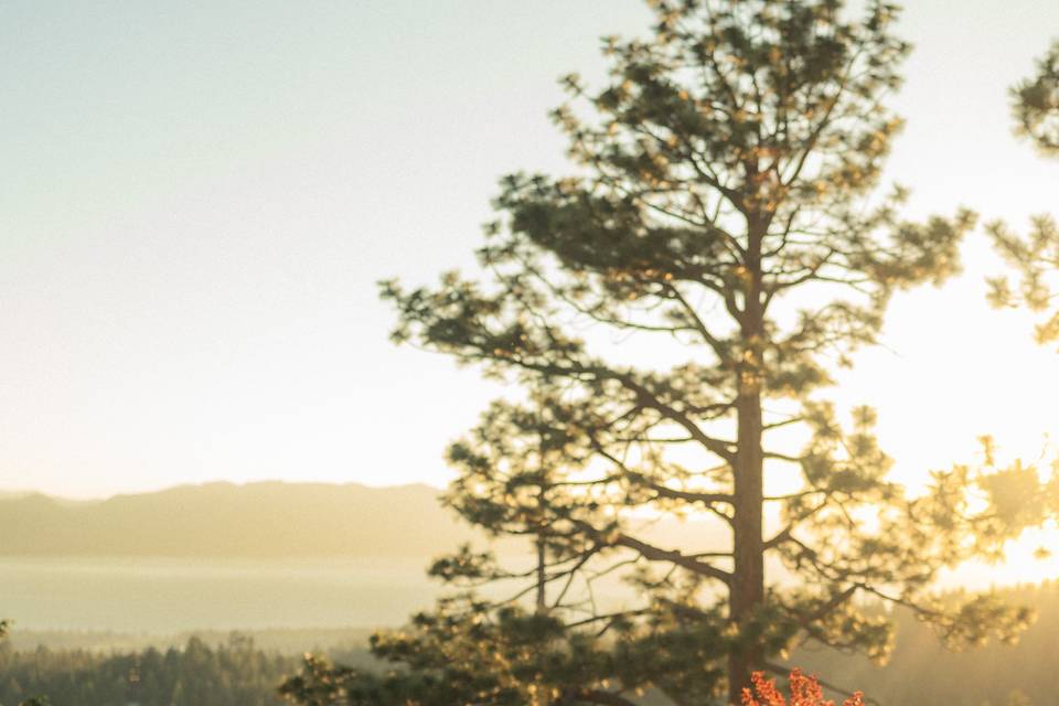 Lake Tahoe Wedding