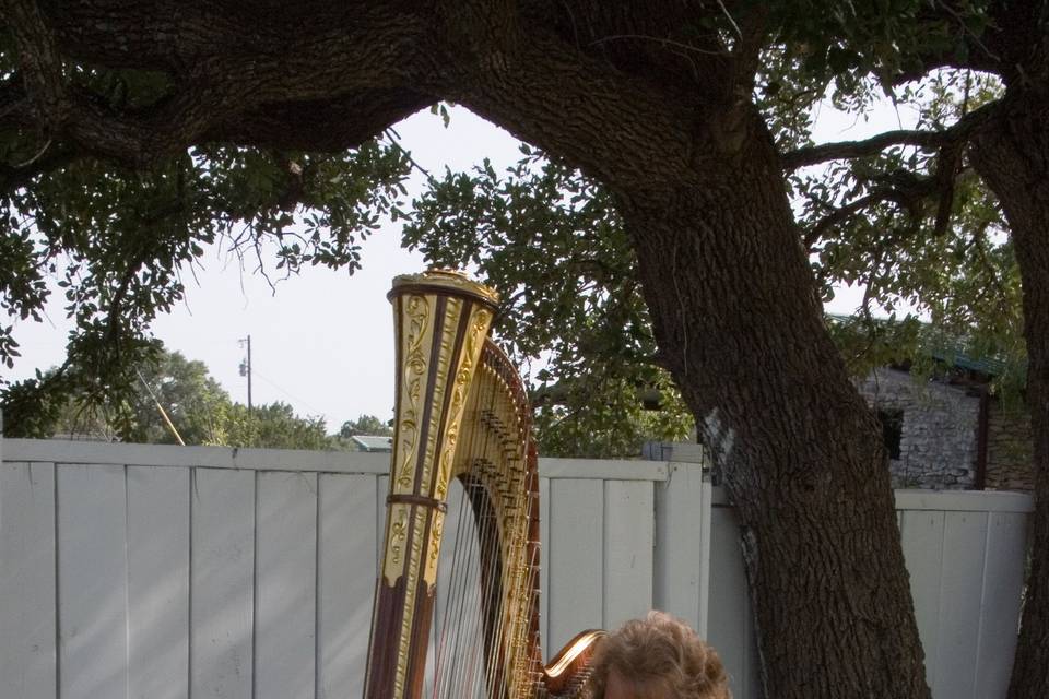 Harpist