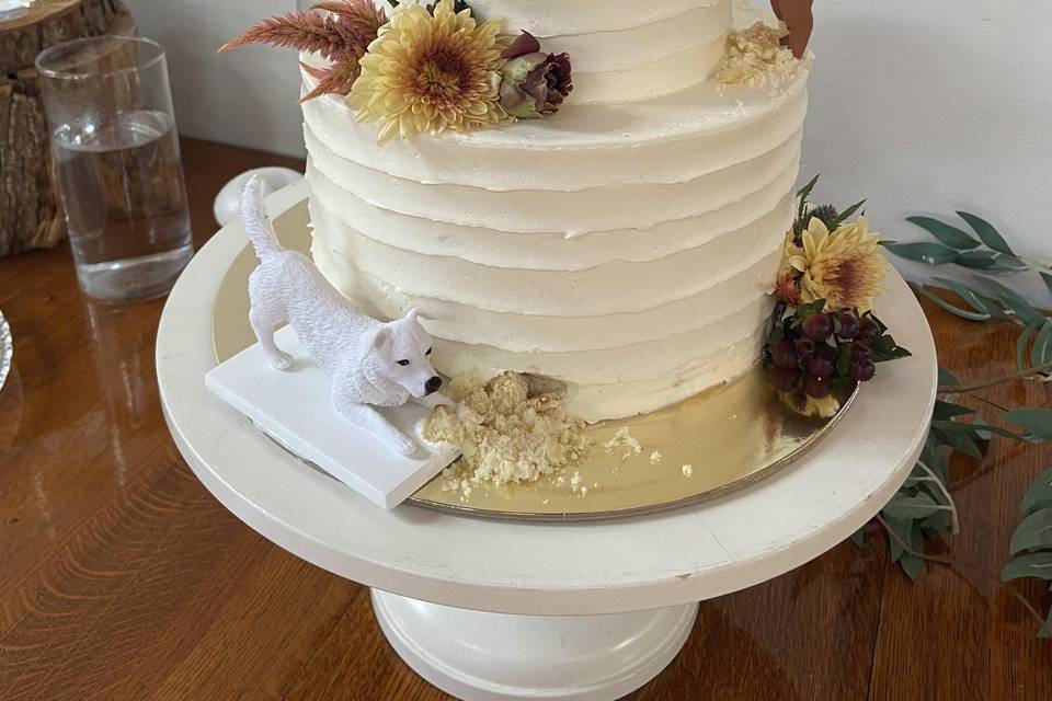 Dog cake
