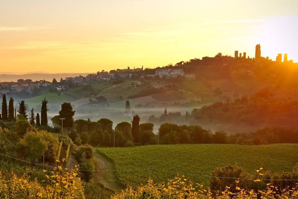 A wine-focused honeymoon from Jetsetter’s Personal Travel Planning service incorporates afternoons spent at winemaking estates in the Italian countryside.