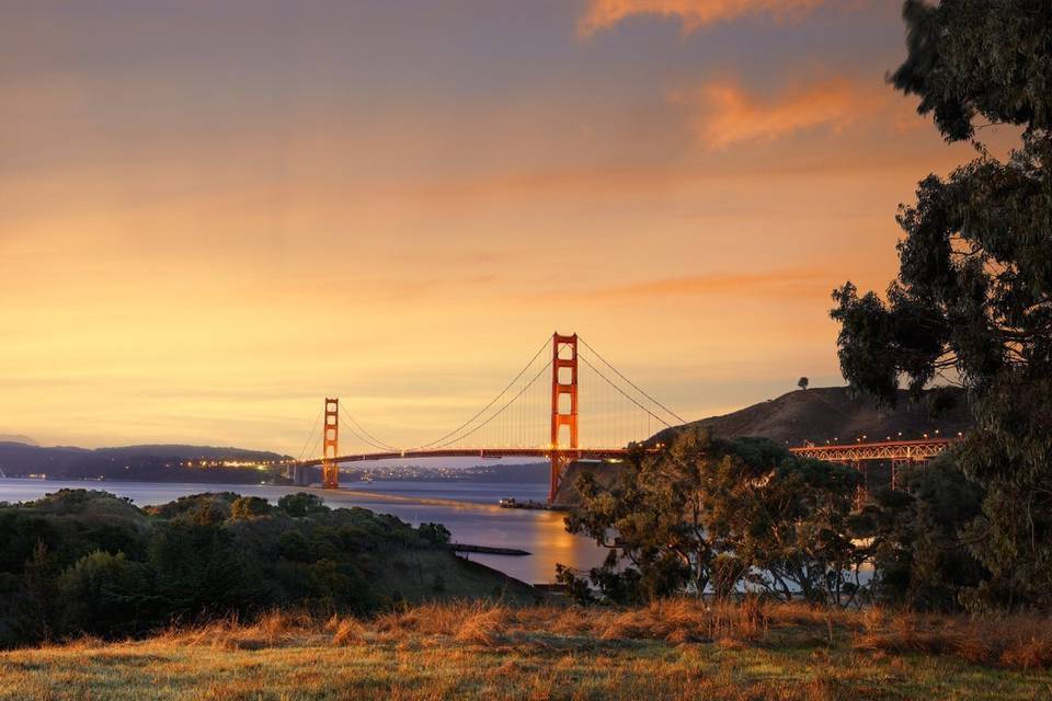 California’s Big Sur teems with everything from Monarch butterflies and condors to gray whales and sea otters.