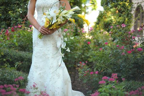 Jami Nicole Photography