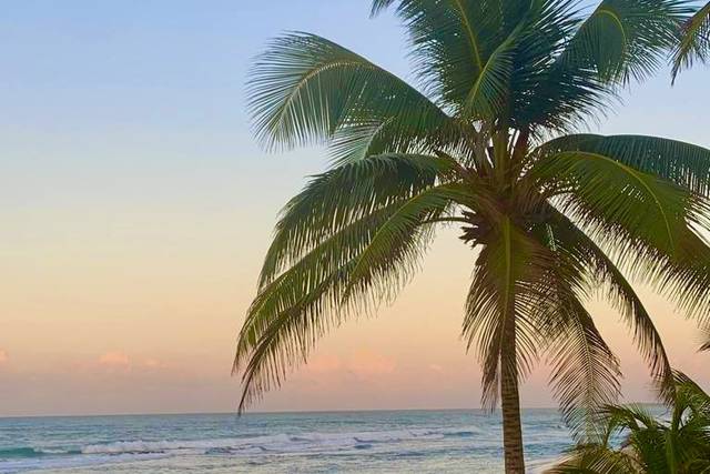 Beaches